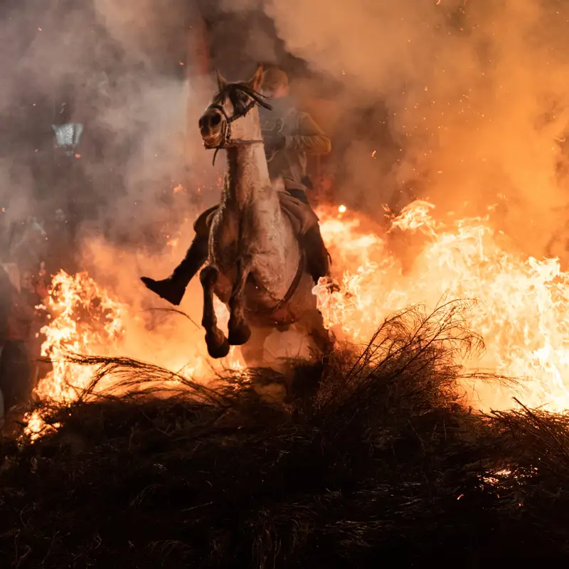 El pueblo de Castilla y León que celebra este jueves un ritual ancestral que purifica los animales