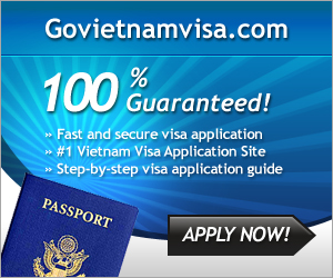 GoVietNam Visa