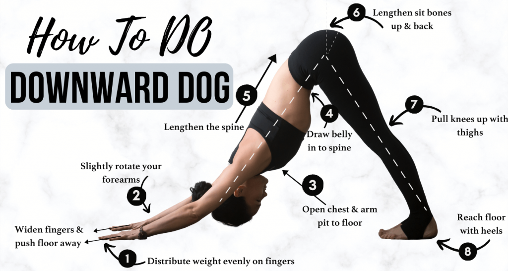 How to do Adho Mukha Svanasana or Downward Dog Pose