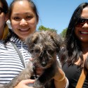 3 women and a dog with a high-pitched bark. Photo: Wendy Goodfriend