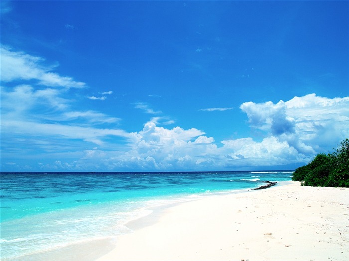 Blue honeymoon paradise - Maldives Wallpaper Views:143400