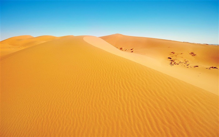 African desert-Beautiful natural landscape wallpaper Views:14379 Date:2013/5/26 0:51:00