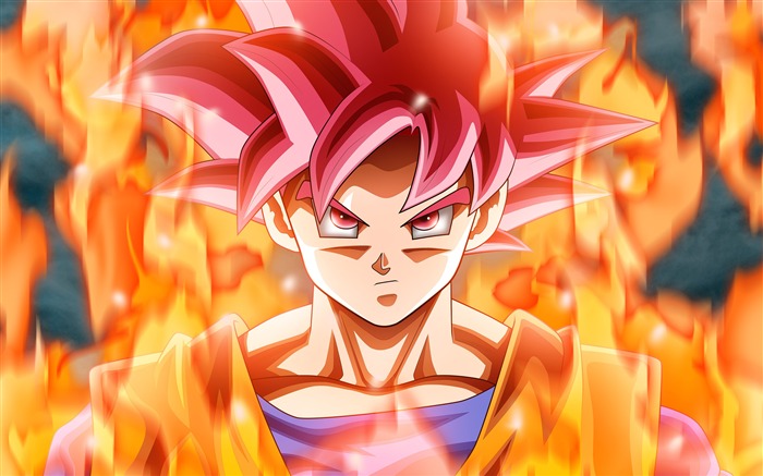 Dragon Ball Animation Characters 4K Ultra HD Views:62801