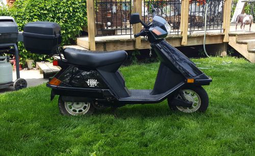 Honda Elite