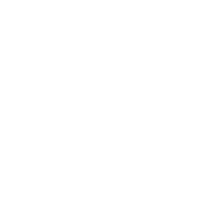 Vacuum Degassing Machine