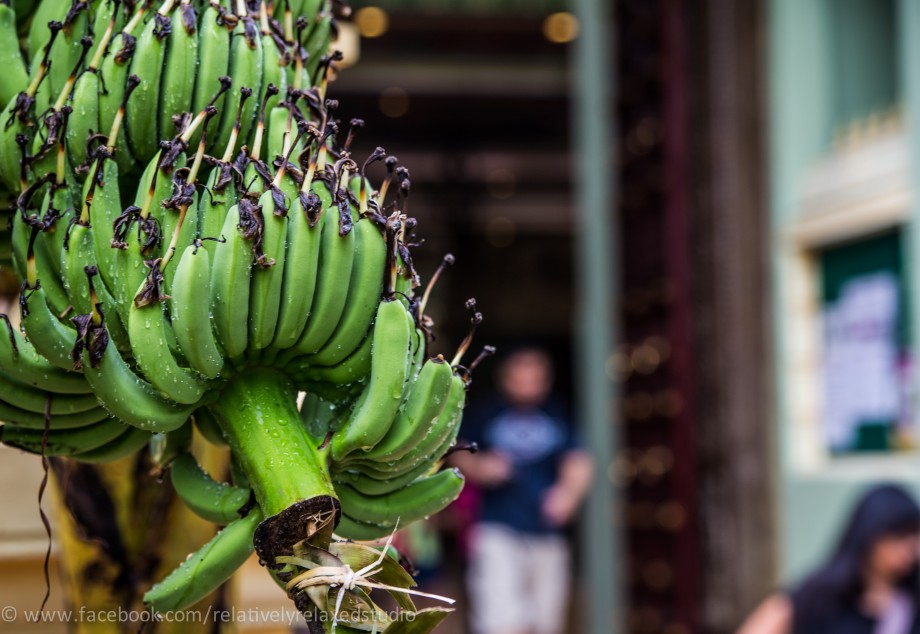 Fruits Stall Tanglin Halt - AspirantSG