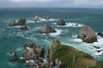 nugget point