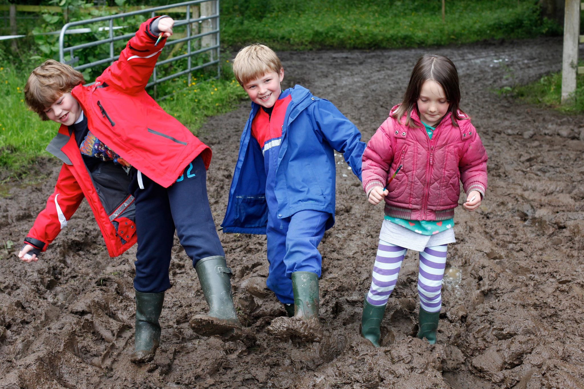 Open Farm Weekend in Ballymena