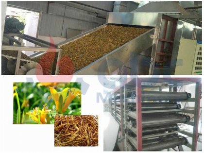 1000kg citron daylily belt dryer