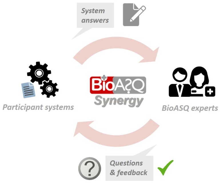 The process of task Synergy on Biomedical Question Answering for Develiping Topics.