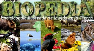 biodiversidad,biomas