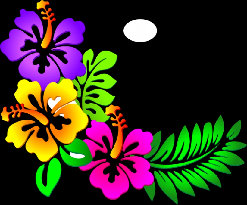 hawaiian flower clip art borders clipart panda free clipart ...