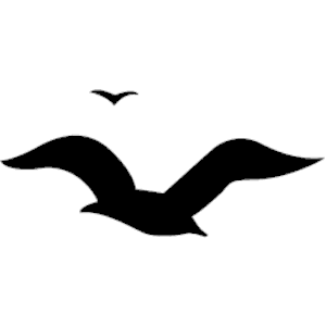 Seagull Clip Art - Tumundografico