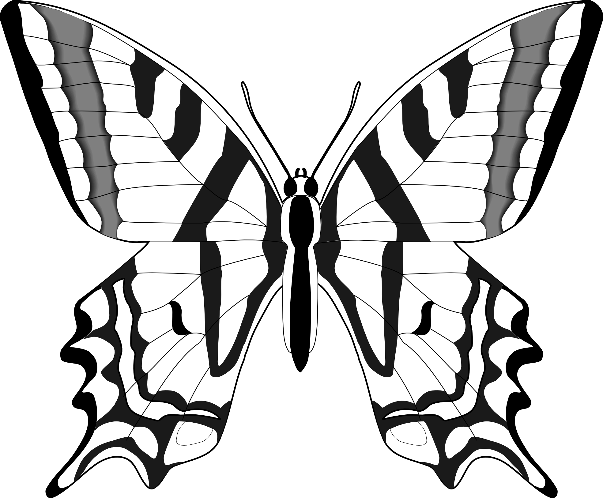 Butterfly Clipart Black And White - Free Clipart ...