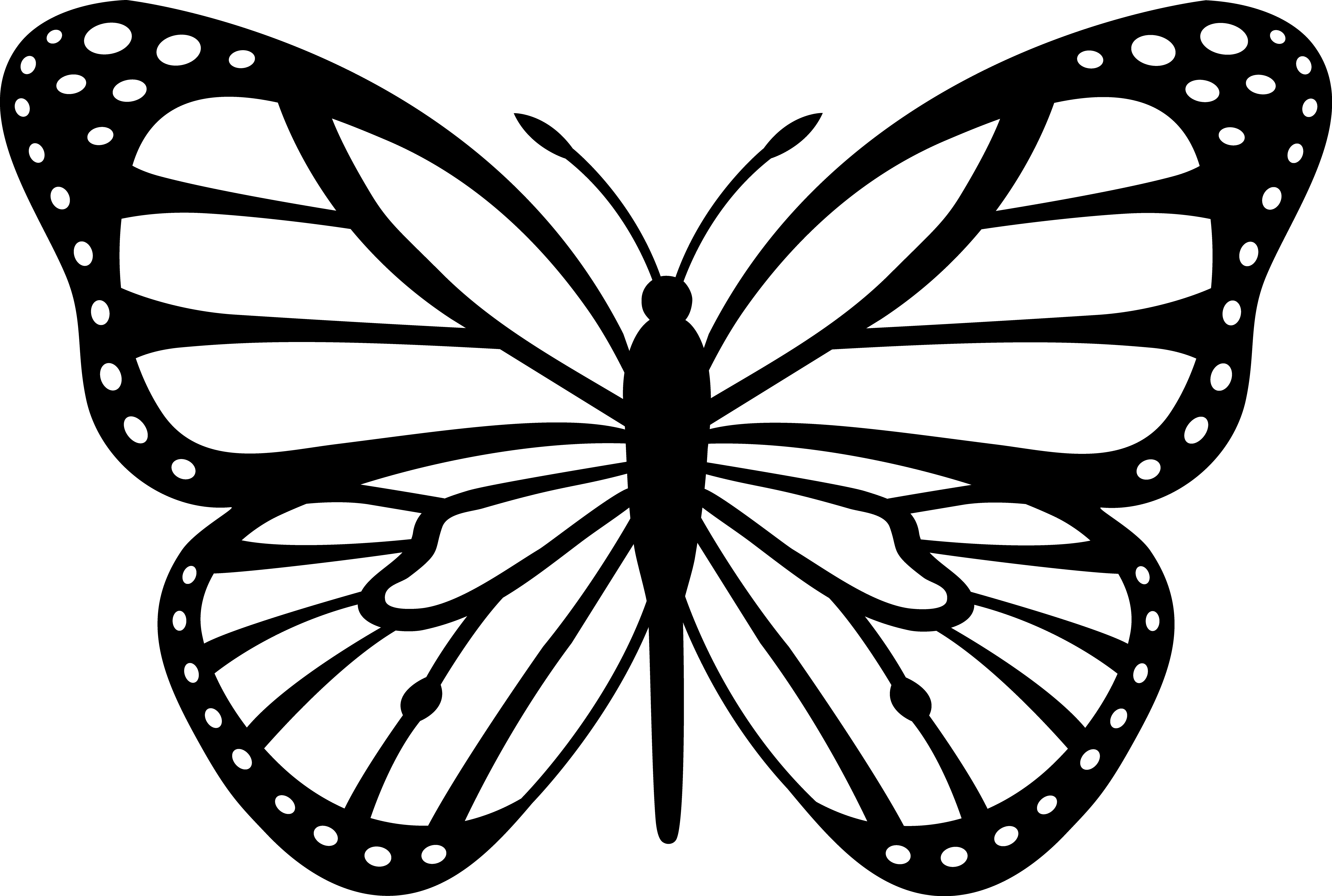 Butterfly Clip Art Black And White - Free Clipart ...