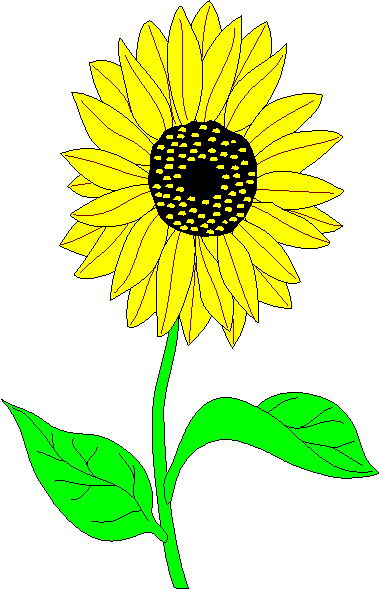 Sunflower Clip Art