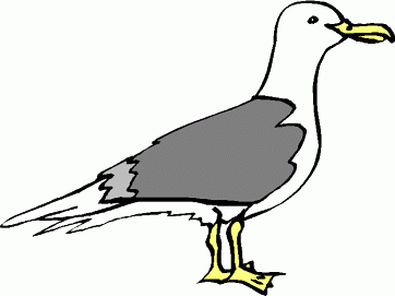 Seagull Clipart - Free Clipart Images