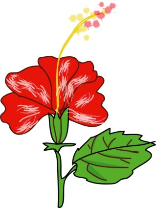 Hawaiian hibiscus flower clip art Free vector for free download ...