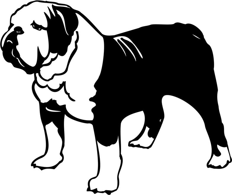 Free Bulldog Clipart Pictures - Clipartix