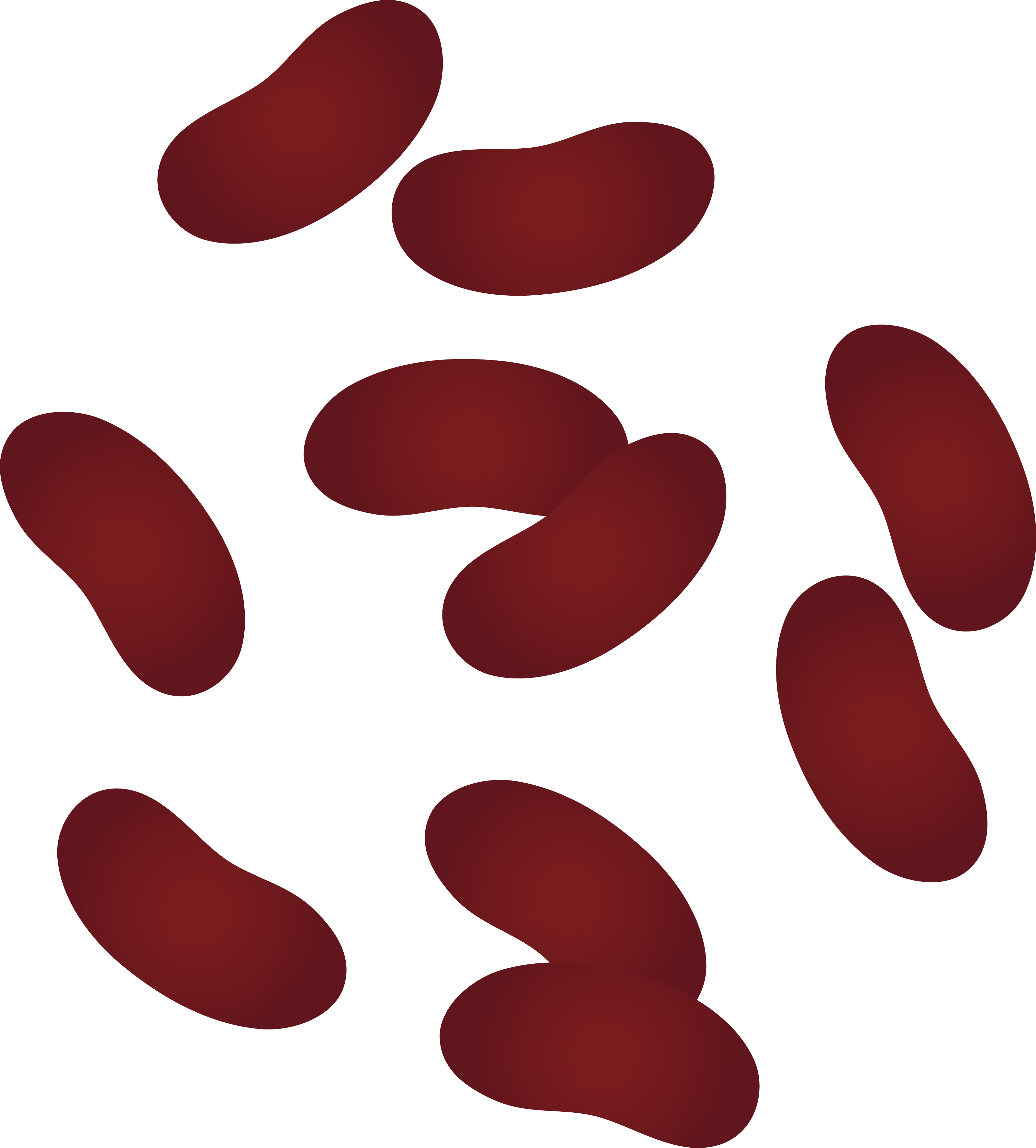 Kidney Bean Clipart