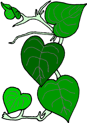 A Perfect World - Clip Art: Plants - ClipArt Best - ClipArt Best