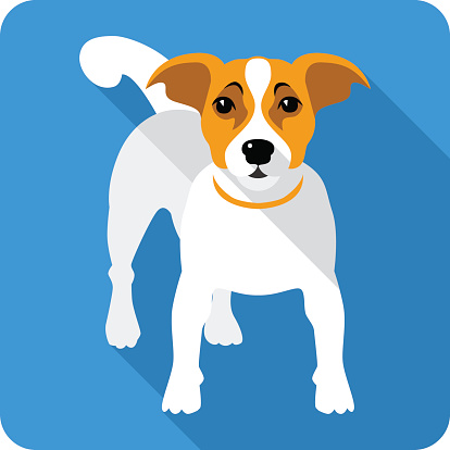 Jack Russell Dogs Drawing Clip Art, Vector Images & Illustrations ...