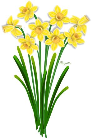 Daffodil Clipart