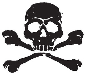 Skull And Crossbones | Skulls ...