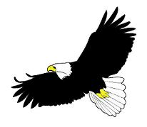 Soaring eagle clip art - ClipartFox