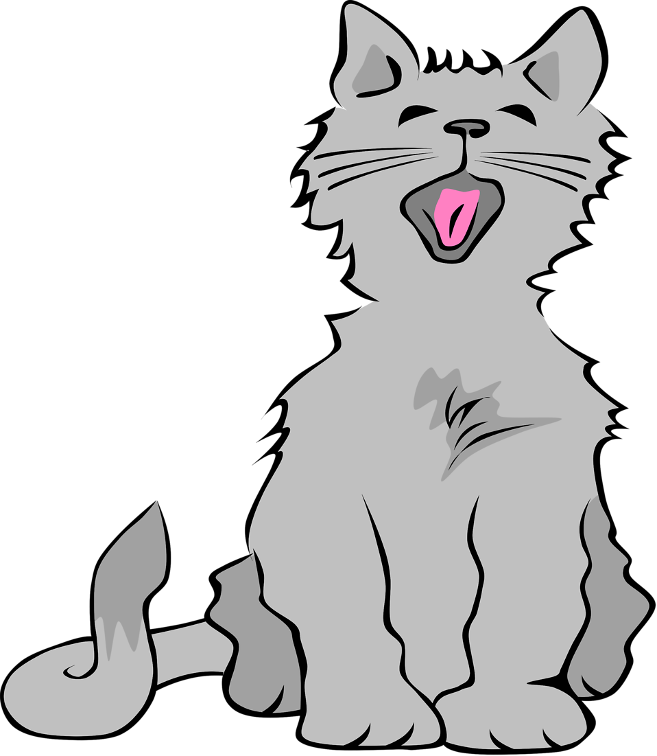 Clipart no transparent cat