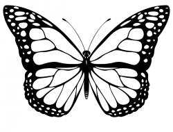 Butterfly Clipart Black And White - Free Clipart ...