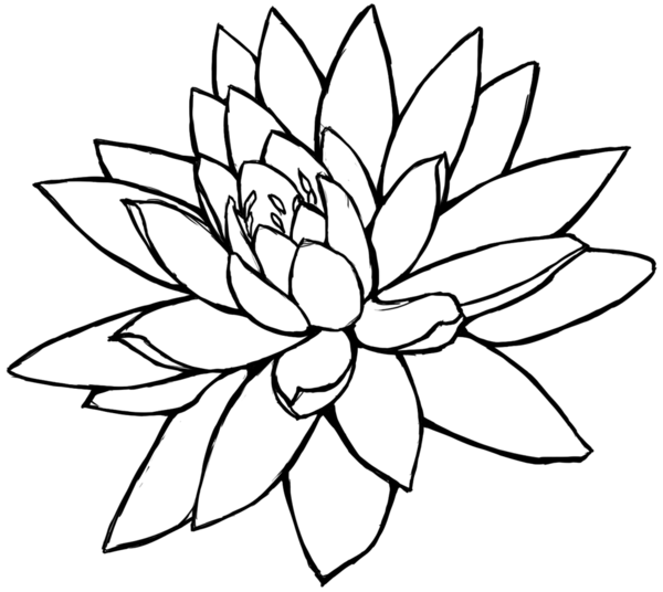 Lotus Flower Line Drawing - ClipArt Best