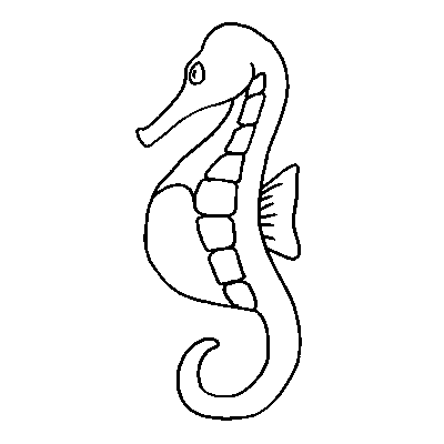 Seahorse Drawings