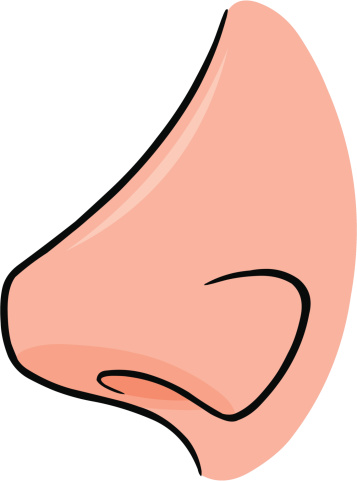 Nose Clip Art - Tumundografico