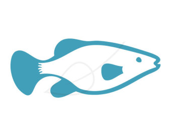 fish clipart