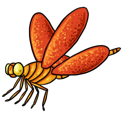 25 FREE Dragonfly Clip Art Drawings and Colorful Images