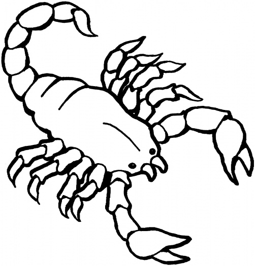 Scorpion Drawings - ClipArt Best