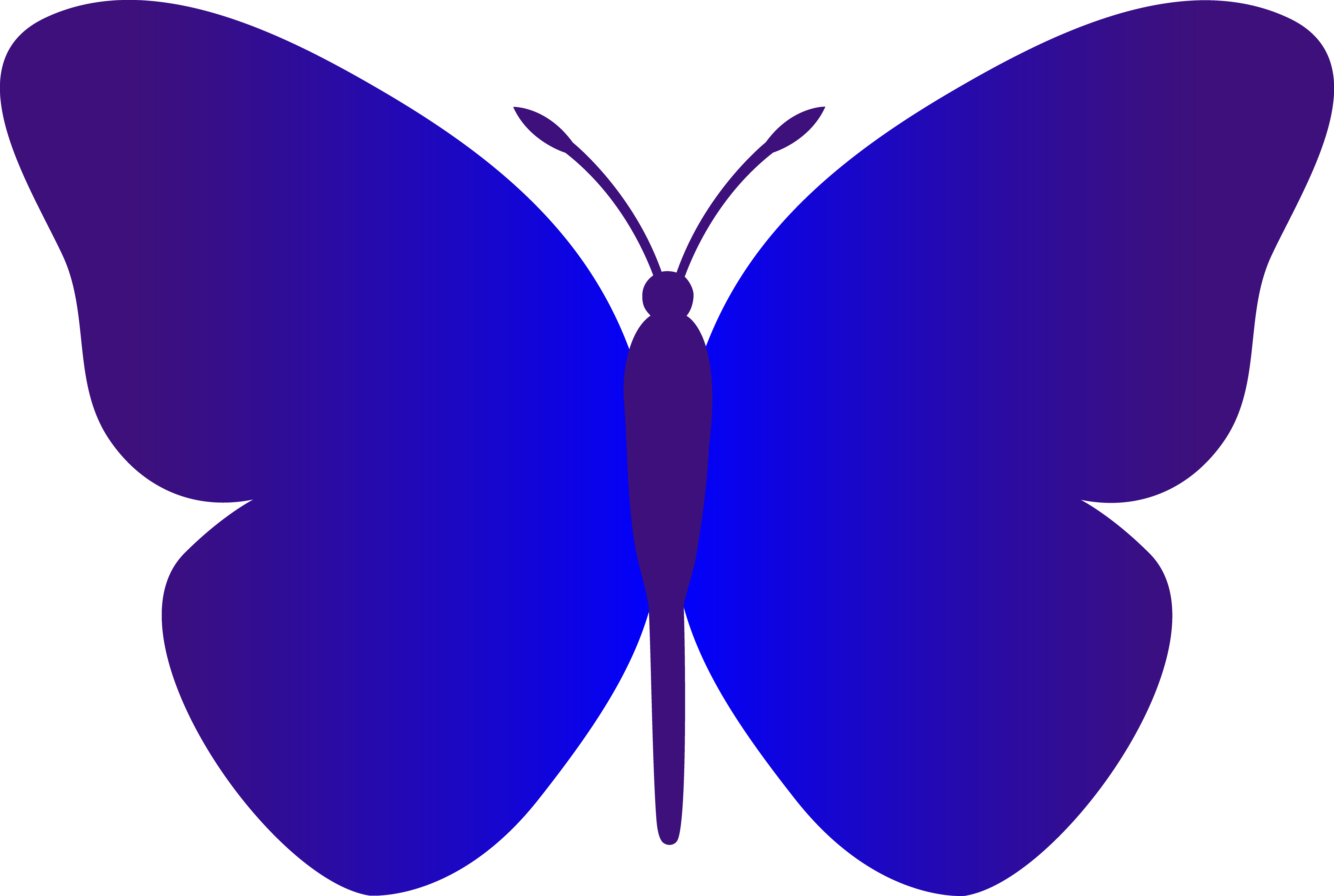 Cartoon butterfly clipart