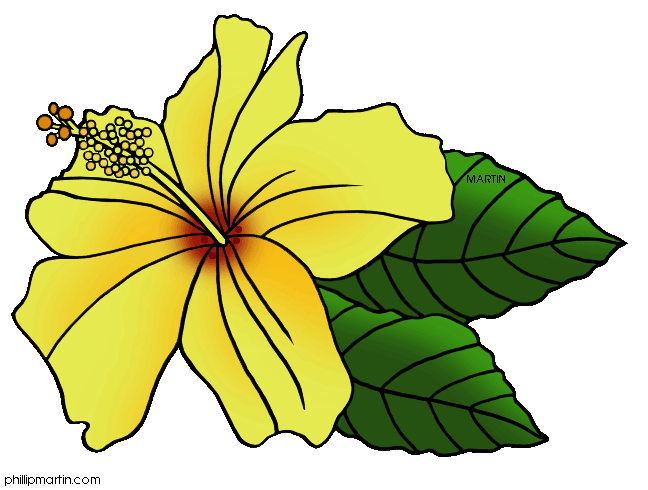 Hawaii Clipart