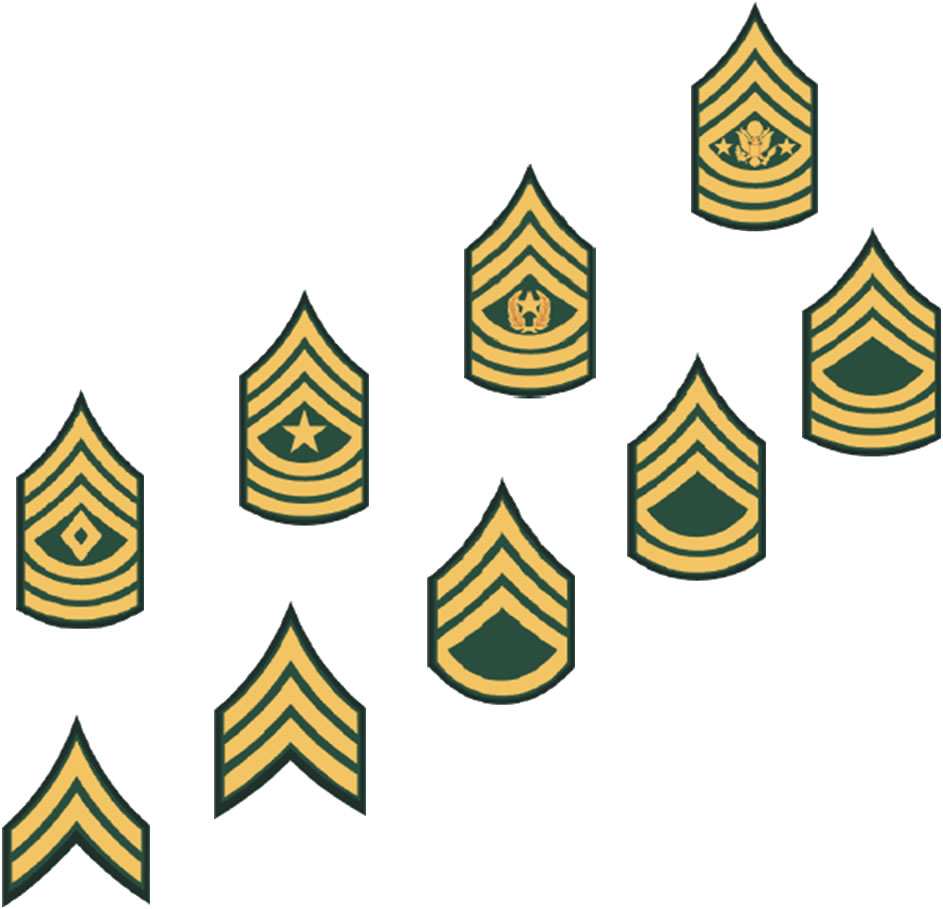 Military Officer Rank Insignia | Car Interior Design