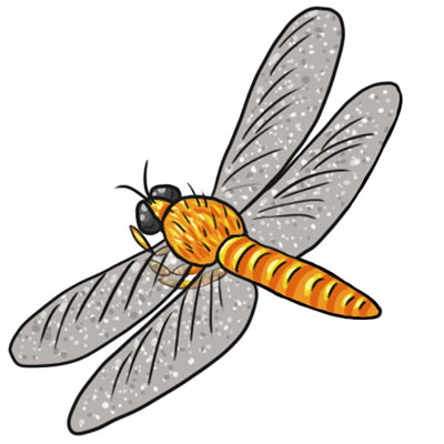 25 FREE Dragonfly Clip Art Drawings and Colorful Images