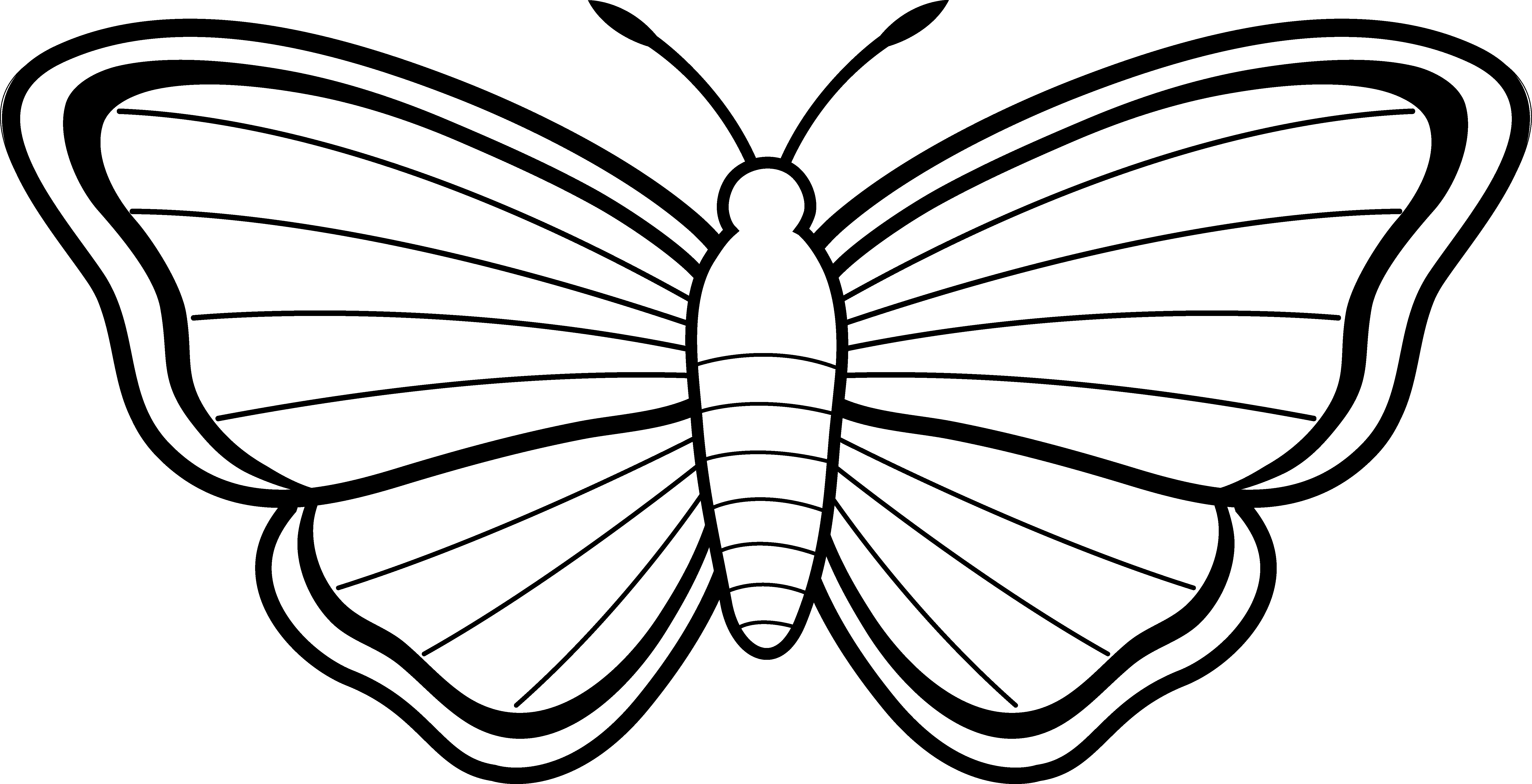 Black and white butterfly clipart