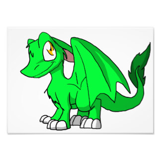 Dragon Photo Prints & Photography | Zazzle