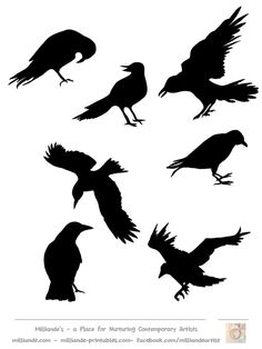 Drawings, Google and Crows