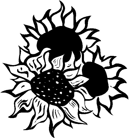 Sunflower Clip Art