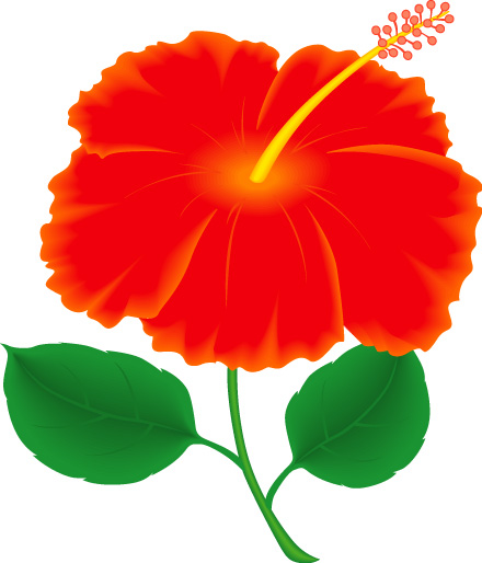 Hawaiian Flower Clipart 16047 Hd Wallpapers Background in Flowers ...