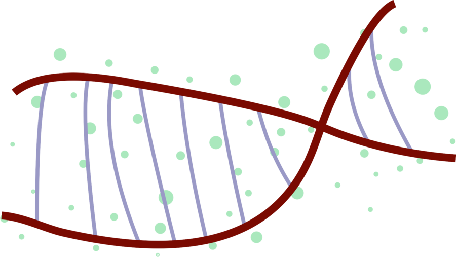 Dna Vector Art - ClipArt Best