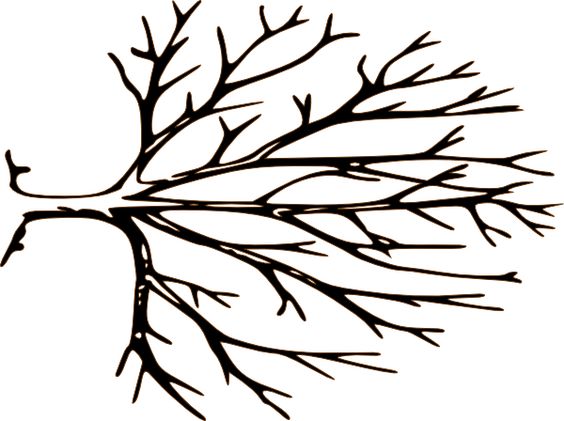 Tree with bare branches clipart