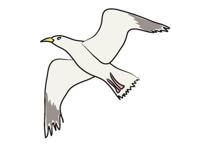 Seagull Clip Art – Clipart Free Download