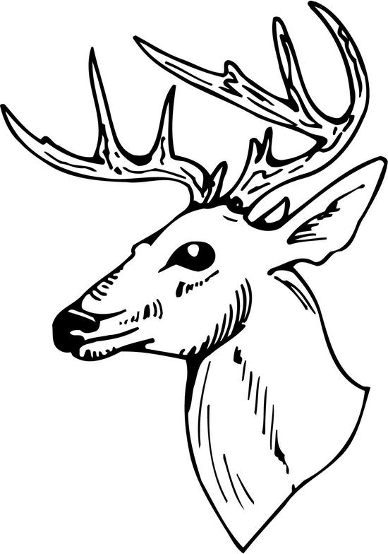 Deer Head Clipart